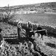 Palestine: Palestinian women ploughing near Hebron, c. 1910